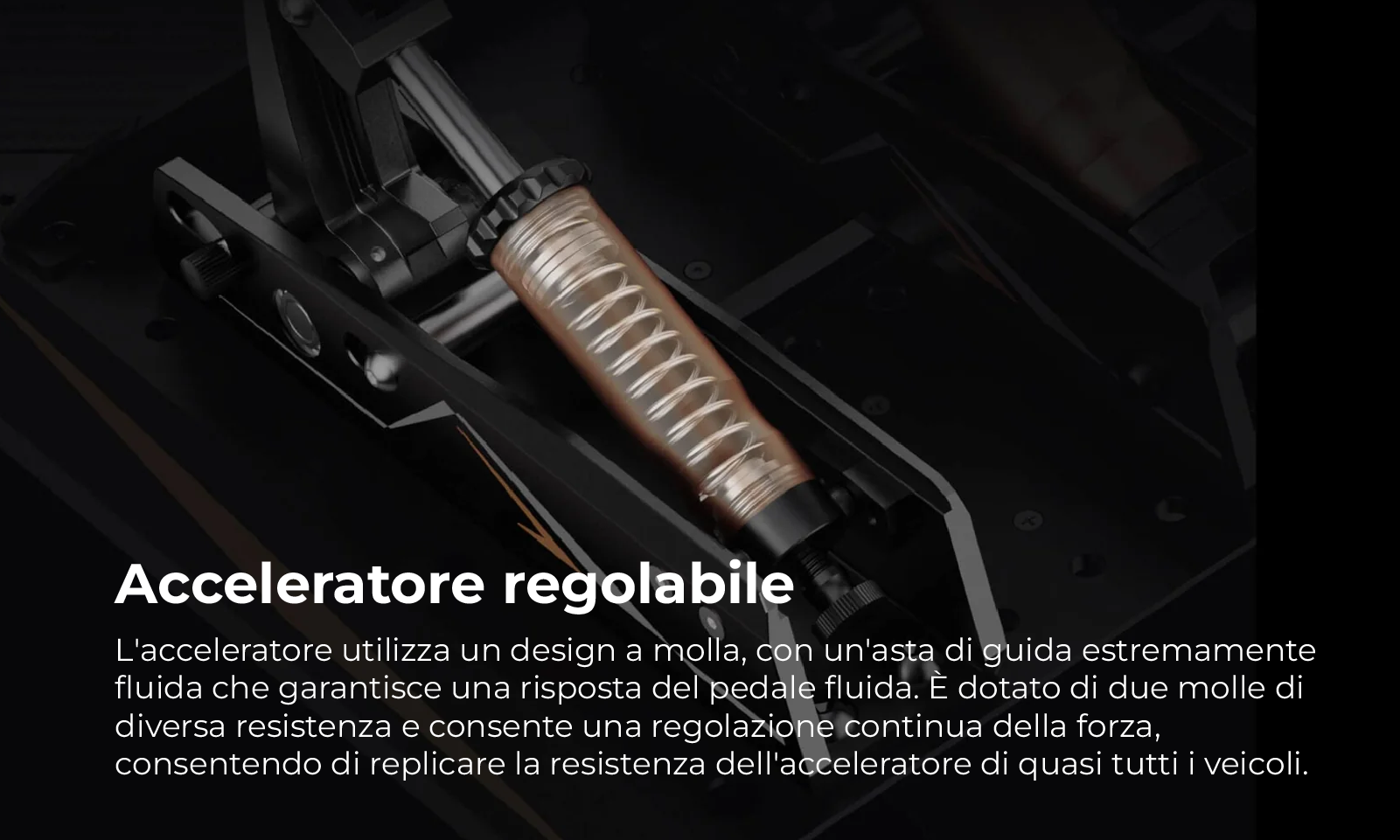 Moza CRP2 Frizione - 6