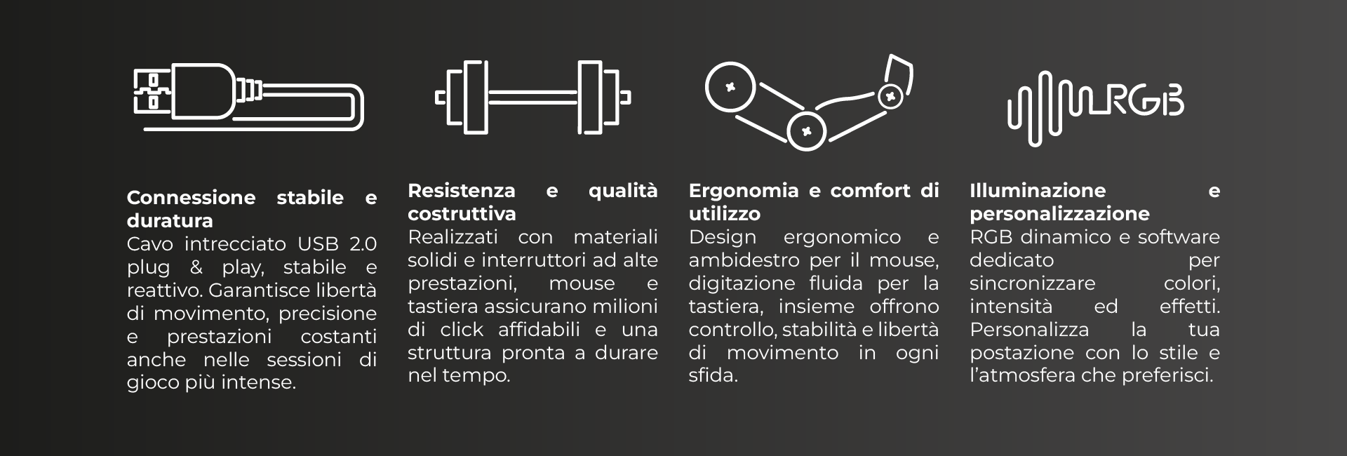 Noua Bundle Loop Raid - 3