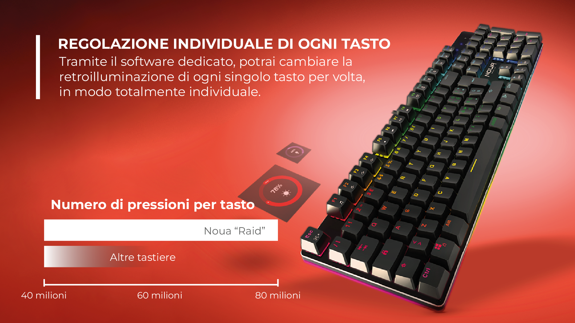 Noua Bundle Loop Raid - 8